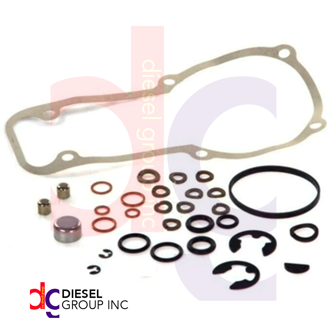 Imagen21 (1427010003) JUEGO DE JUNTAS DE GOBERNADOR RSV DE BOMBA DIESEL ORIGINAL BOSCH - Image 1