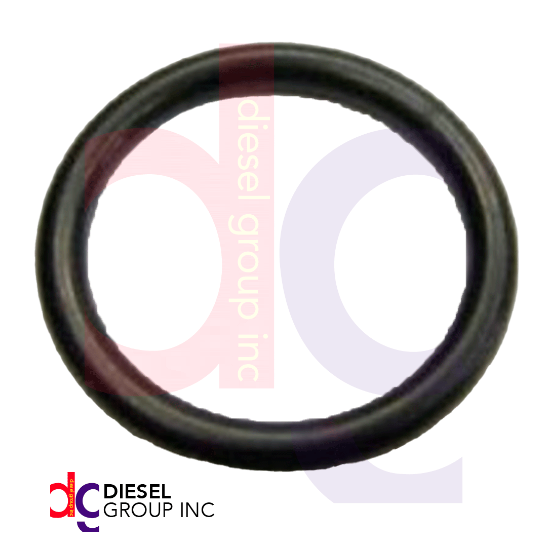 Imagen4 (F00RJ00220) ANILLO TOROIDAL LIGA DE BOBINA DE INYECTOR CRIN DIESEL BOSCH PARA 5.9, 6.7, 8.9, ISC, ISL, QSB, CUMMINS - Image 1