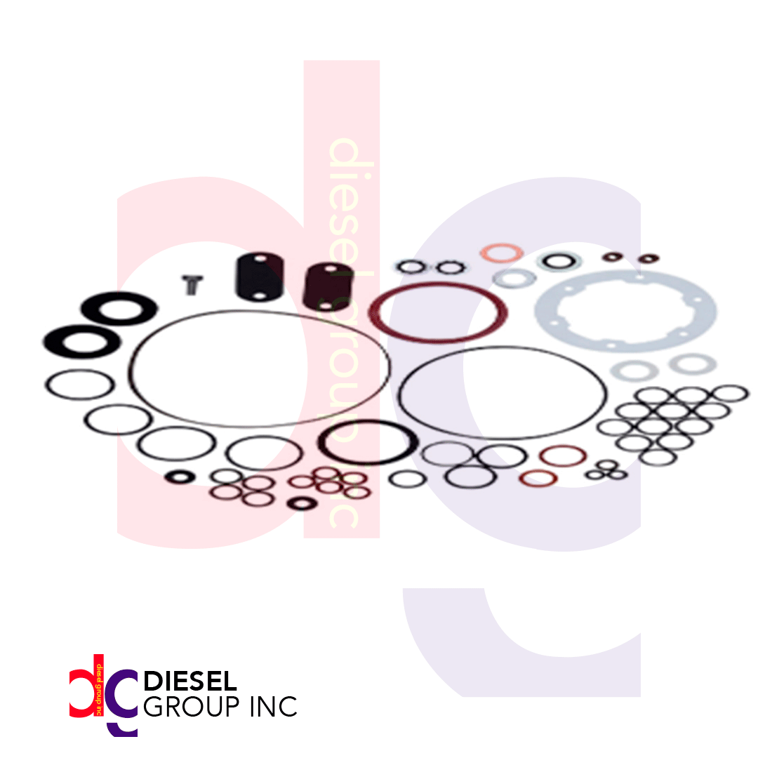 varios-2 (24371) KIT JUEGO DE JUNTAS DE BOMBA DIESEL STANADYNE - Image 1